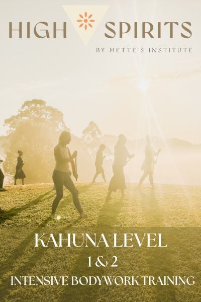 7d8beaab-9d89-4826-b378-940b9385eab4-image___inspire_u-KaHuna Level 1 & 2 Training