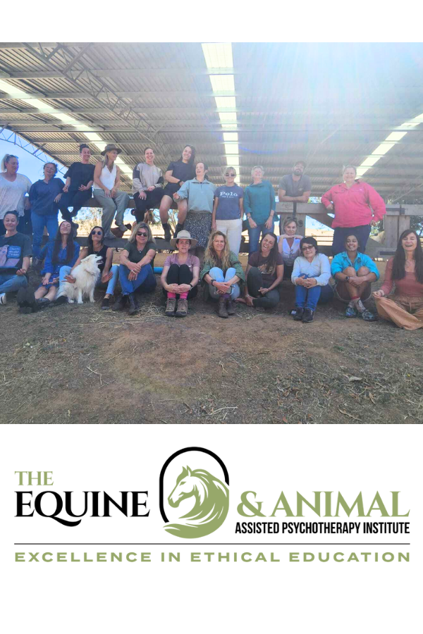 Equine inspire u aug